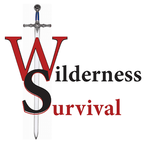 Wilderness Survivor Games