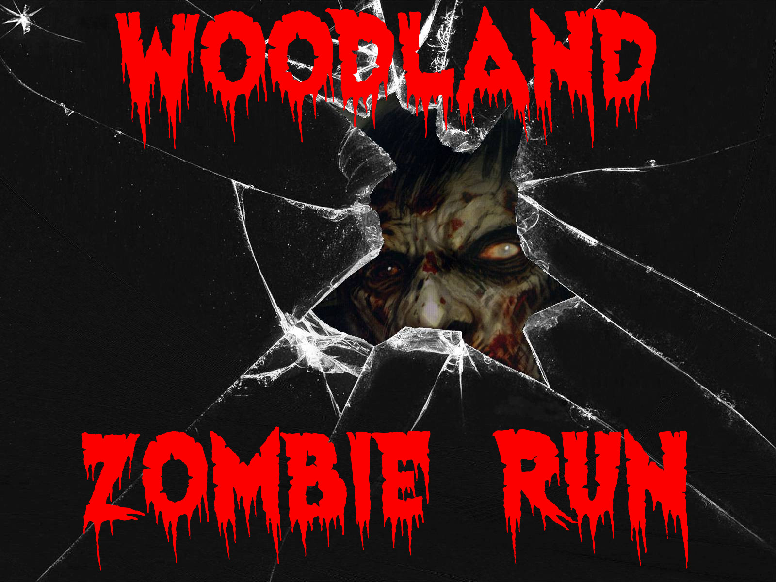 Woodland Zombie Run